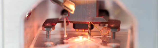 EC-Zelle AFM