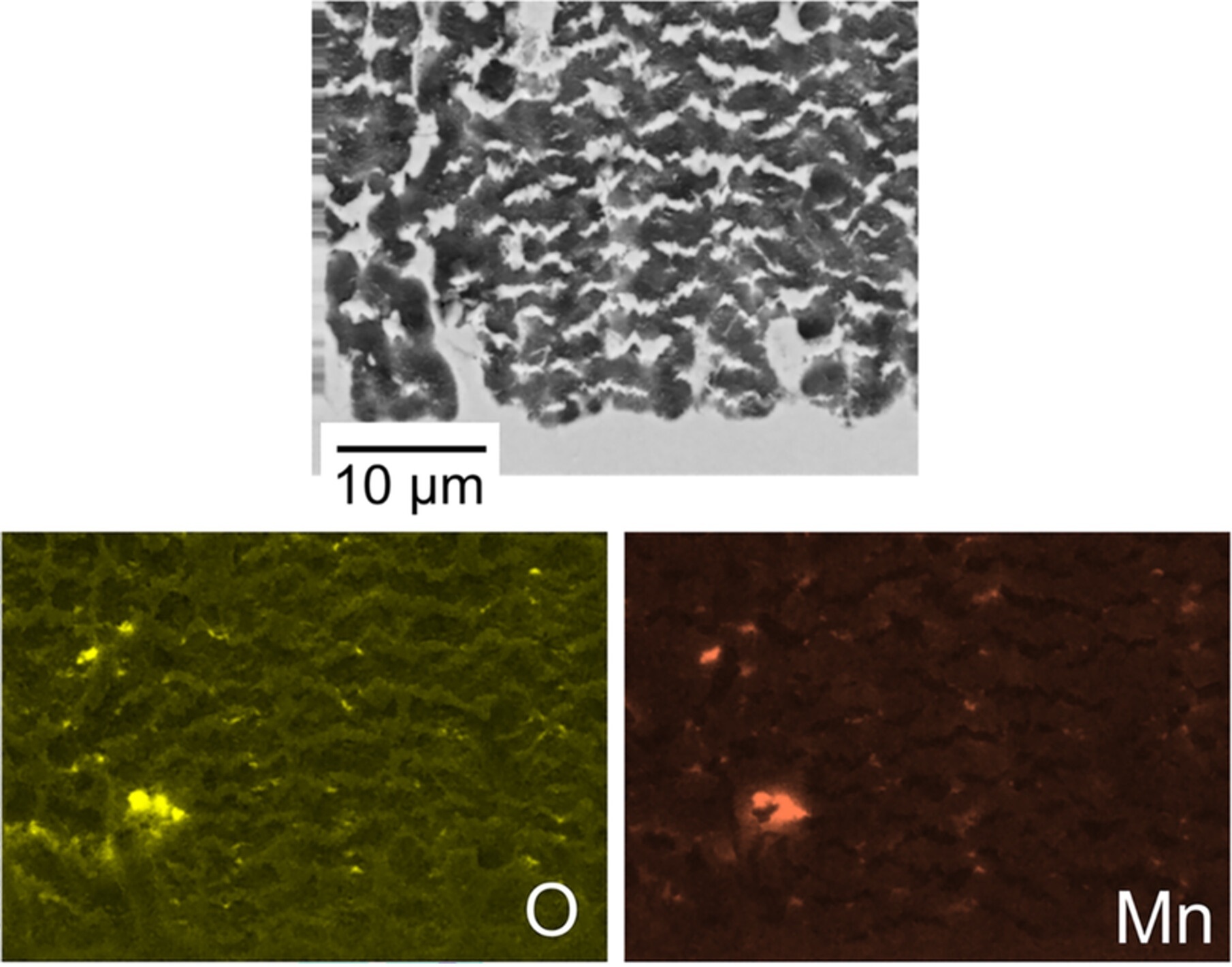 white2025_fig10 white2025_fig10