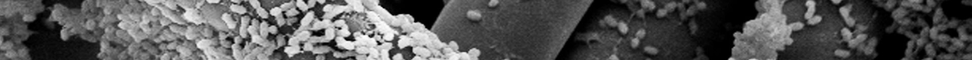 Elektro-Biotechnologie