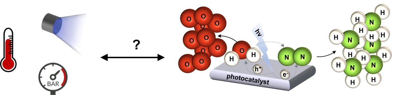 Bild Forschungsprojekt