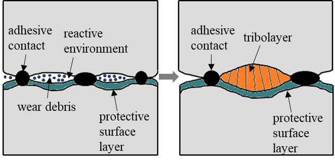 oeztuerk2024 oeztuerk2024