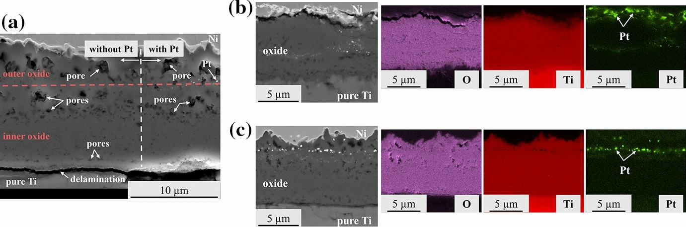 Öztürk2024a Öztürk2024a
