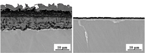 donchev2021 donchev2021
