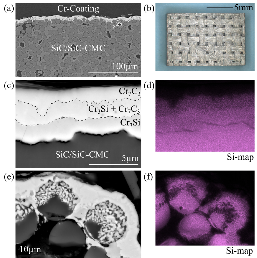 Koenig2021 Koenig2021