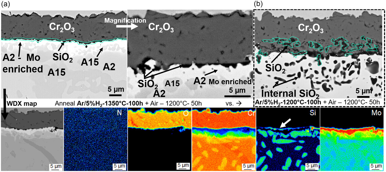 koliotassis2024 koliotassis2024