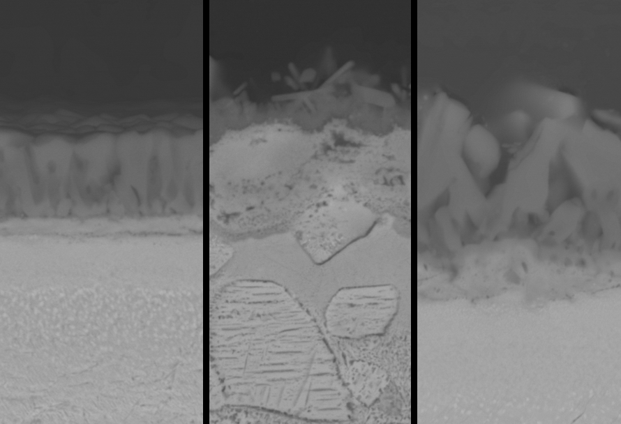 Lanoy2025_Abstract_image