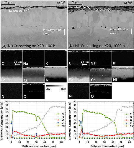 Meißner2021 Meißner2021