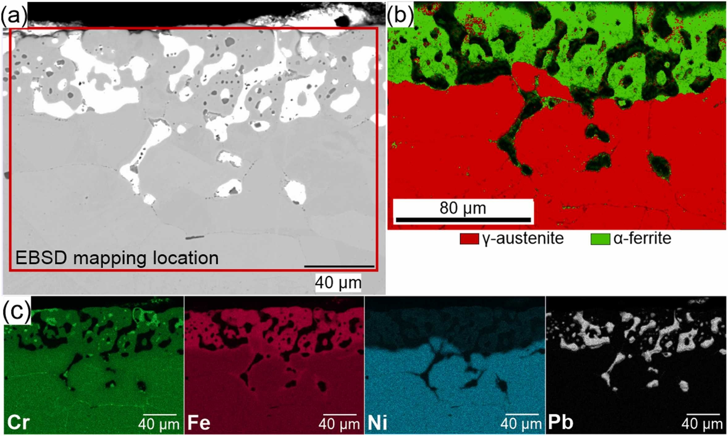 purwitasari2025_fig17