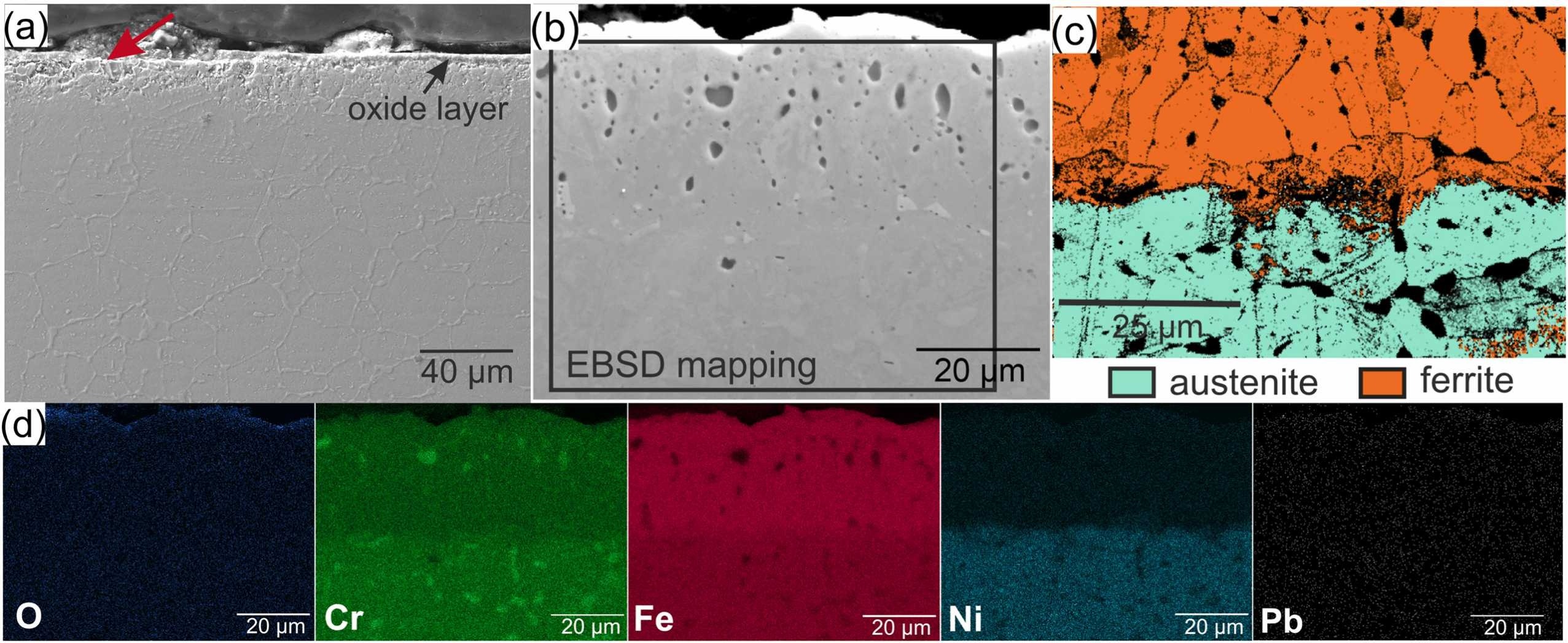 Purwitasari2025a_fig08