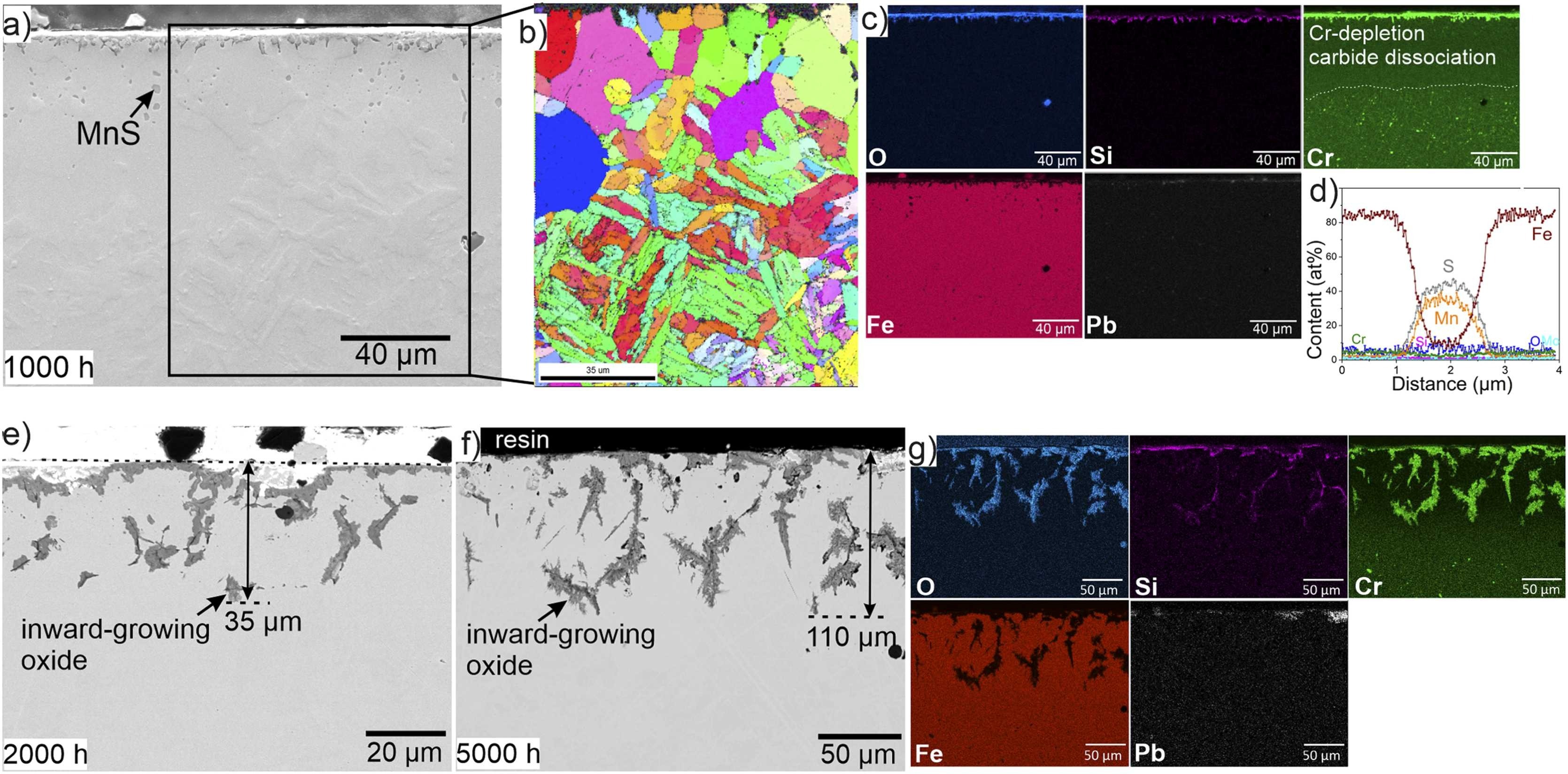 Purwitasari2025b_fig5