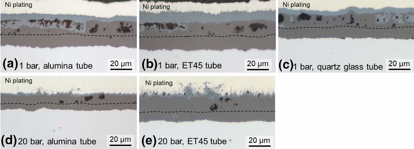 Schlereth2021 Schlereth2021