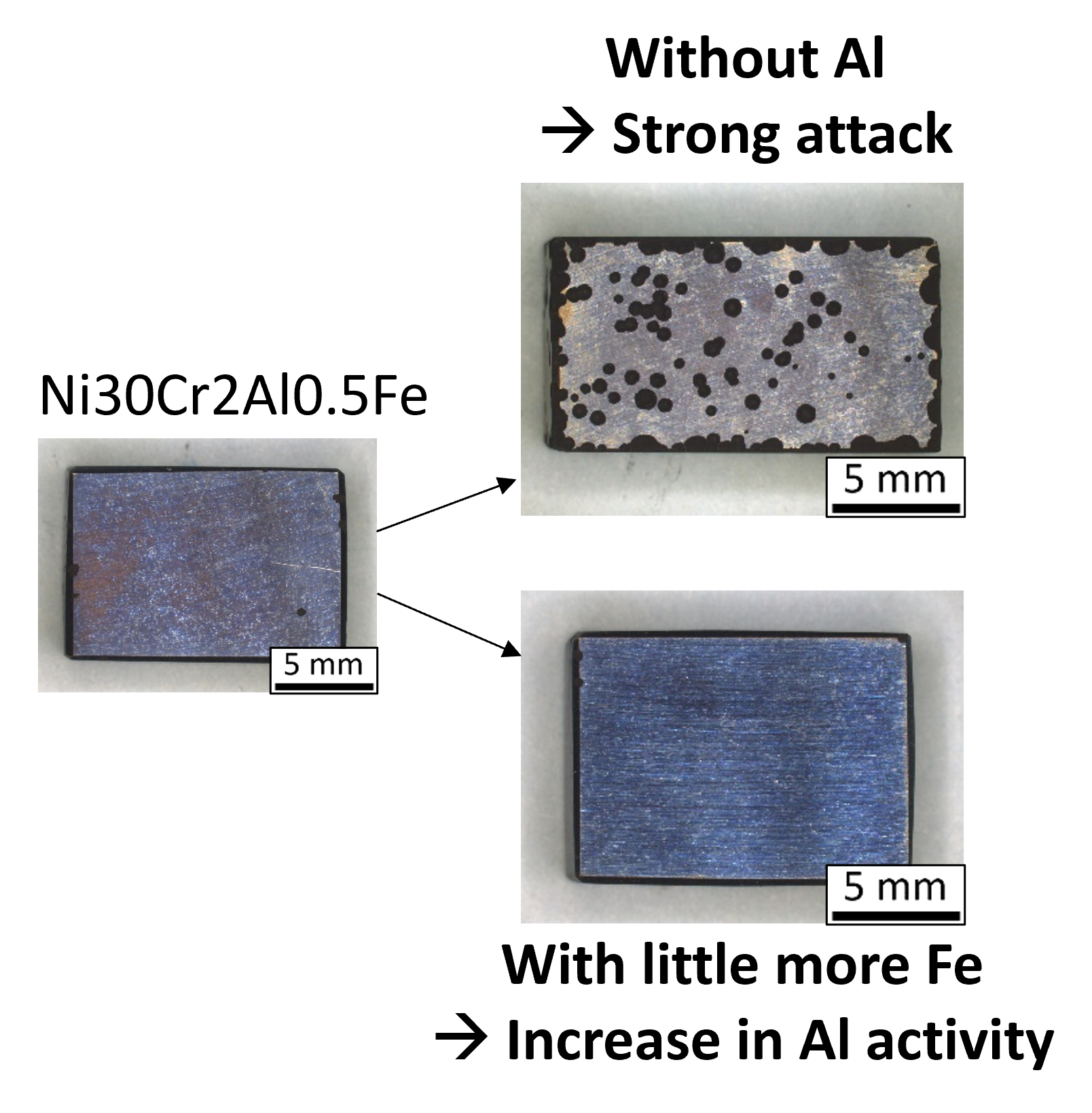 Schlereth2022 Schlereth2022