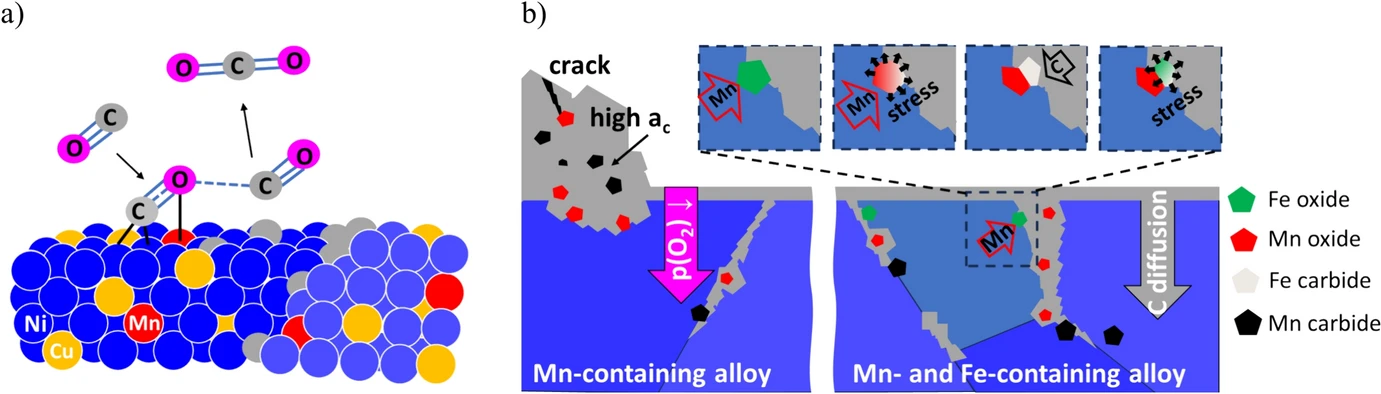 ulrich2024 ulrich2024
